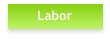 Labor