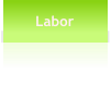 Labor