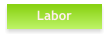 Labor