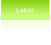 Labor